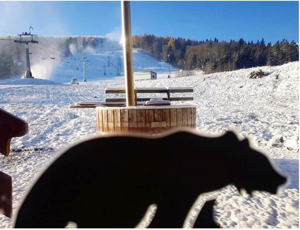 Pensjonat Laworta Ski Ustrzyki Dolne Exterior photo